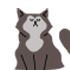 Katze icon