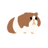 Rodent icon