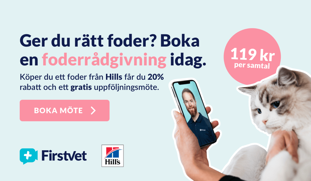 Ger du rätt foder? Boka en foderrådgivning idag. Köper du ett foder från Hill's får du 20% rabatt och ett gratis uppföljningsmöte. 119 kr per samtal. Klicka här för att boka ett möte.