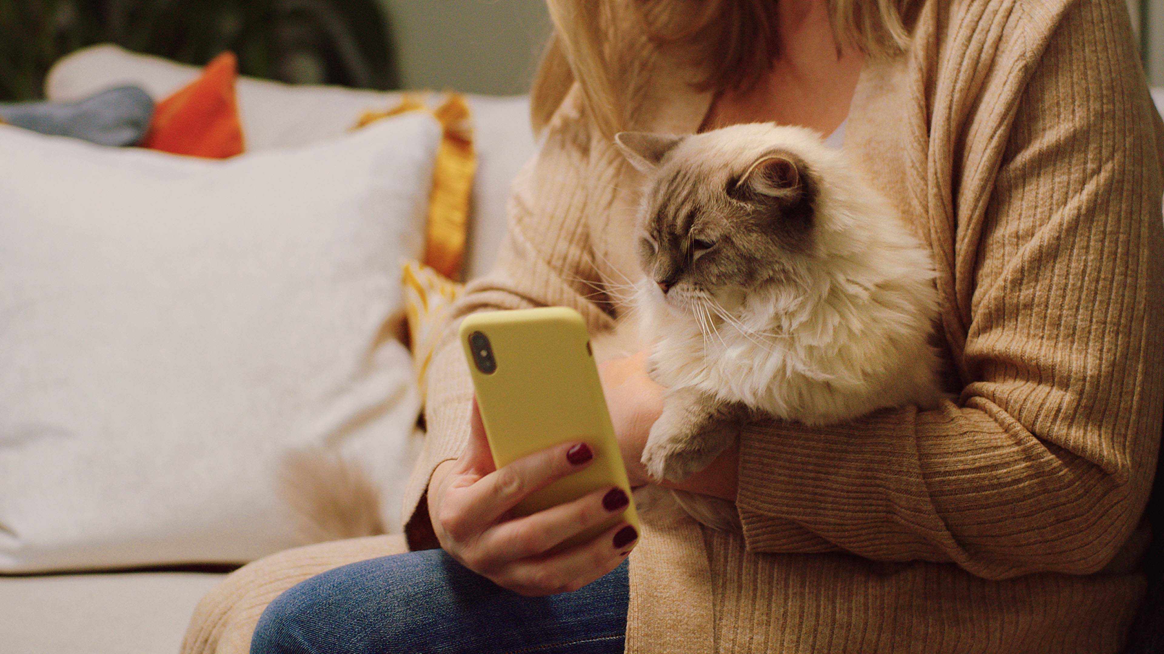 Vet care you can rely on - Visual representation of FirstVet benefits