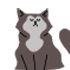 Kissa icon