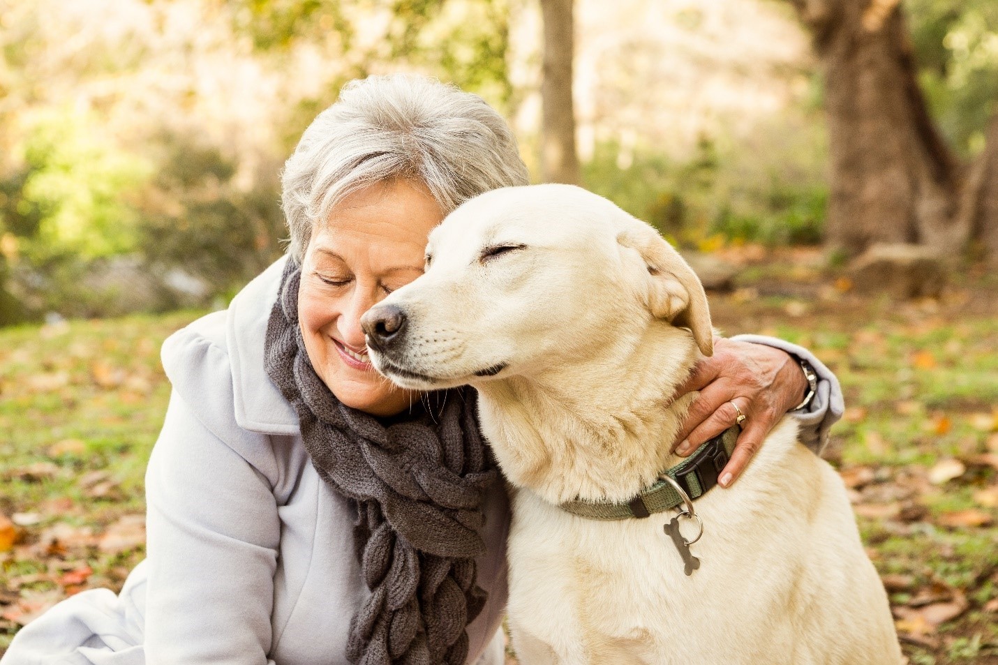 Caring for Senior Pets