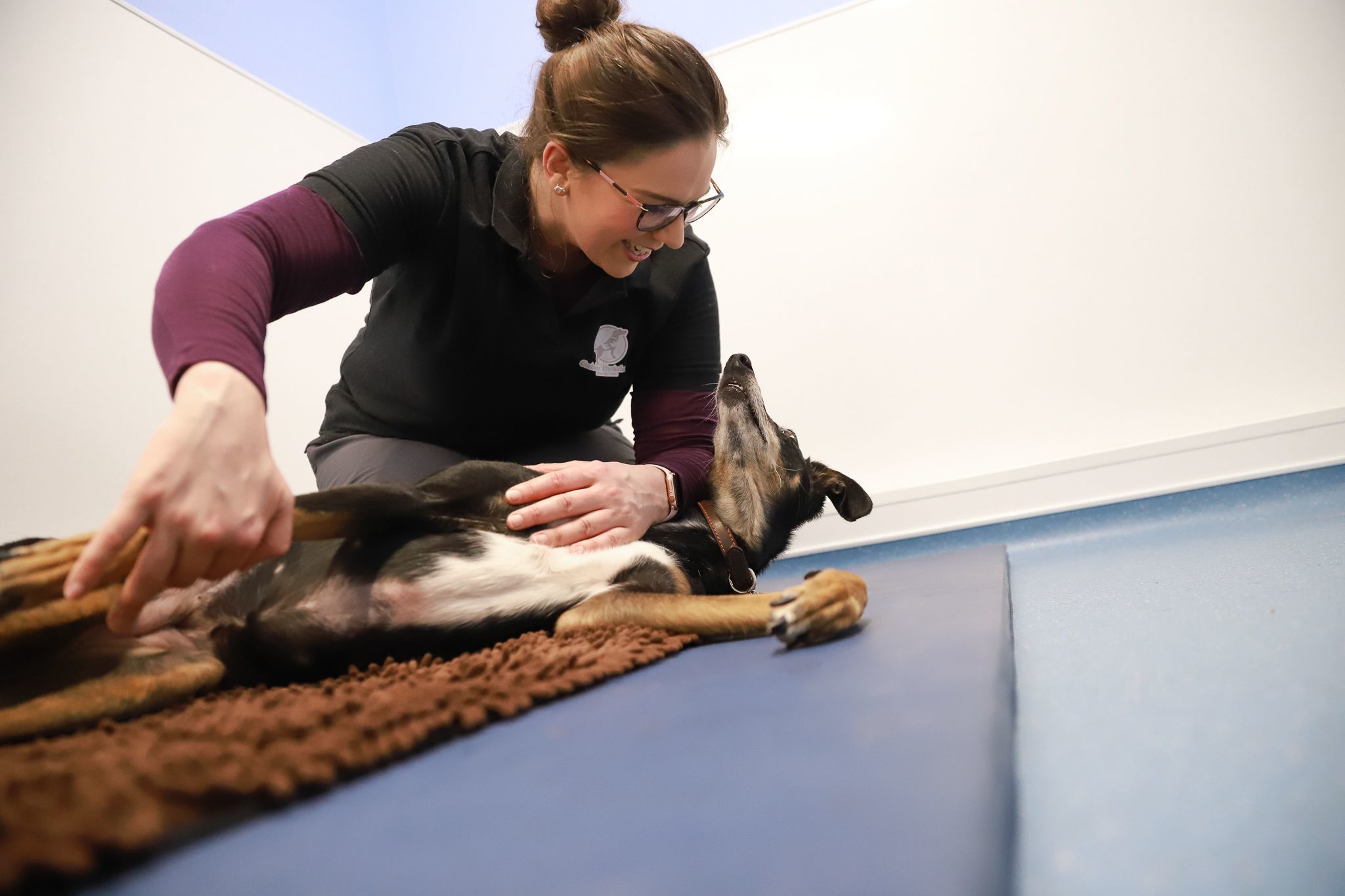 Physiotherapy for your dog | FirstVet