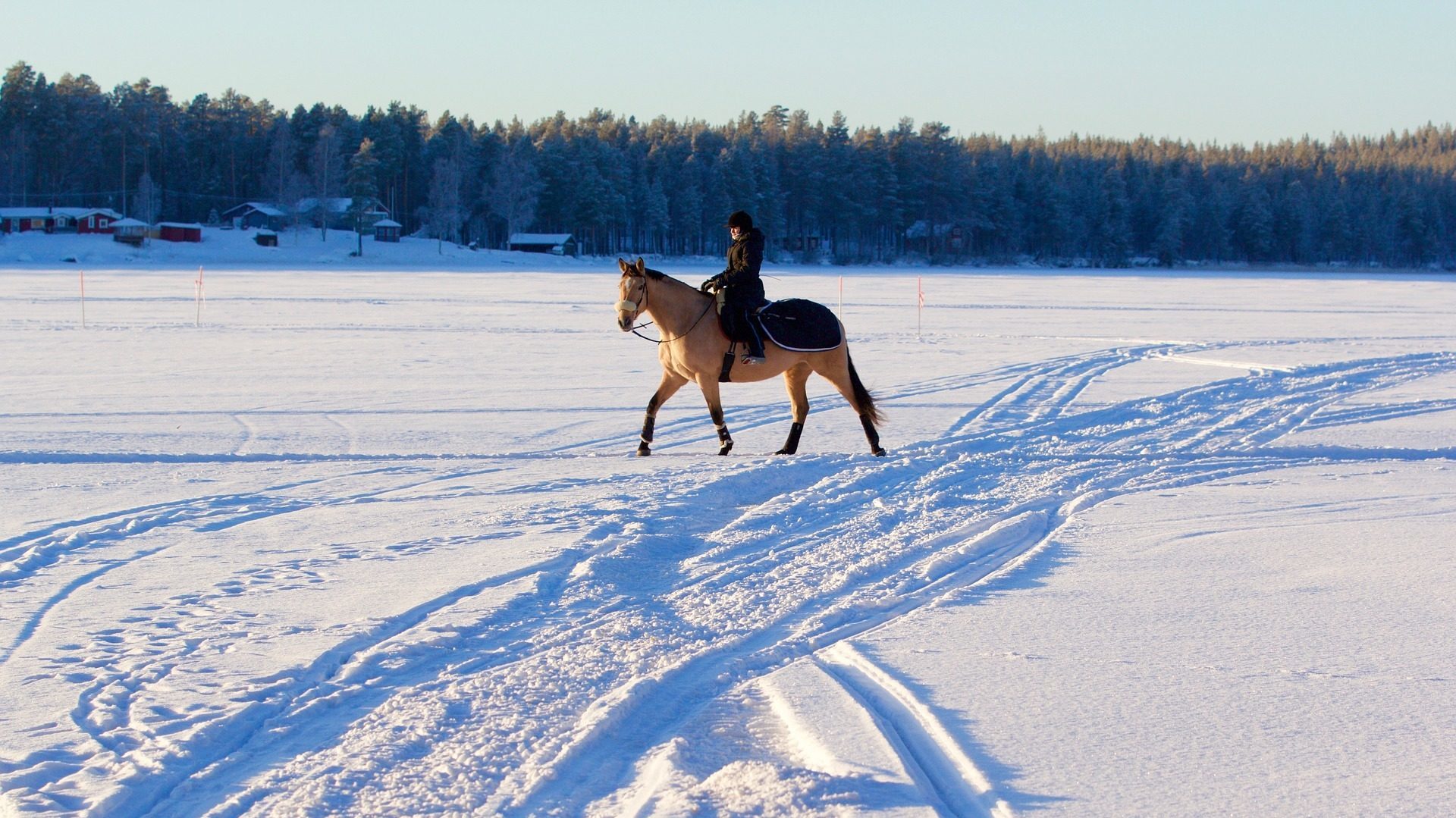 Horse and rider snow scenes