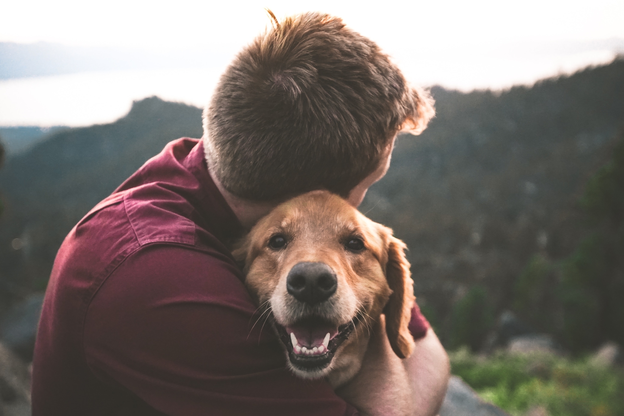 A man hugging his golden retriever dog in nature