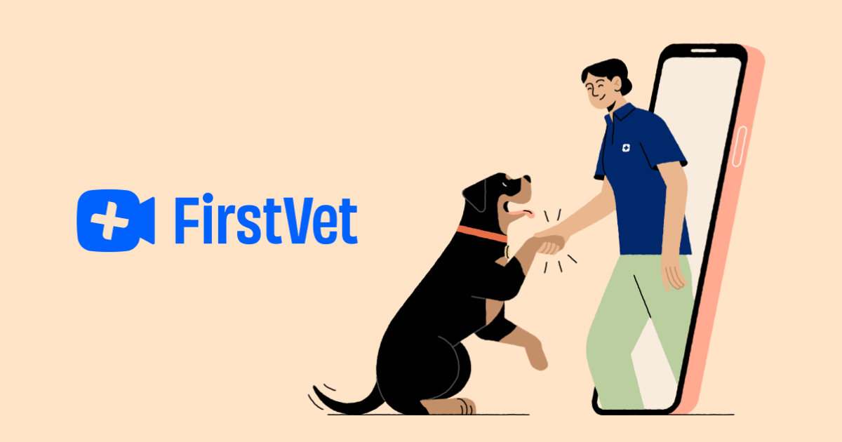 My female dog has accidentally been mated. What can be done to prevent her from having puppies? | FirstVet